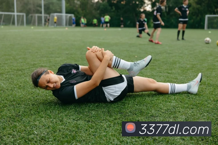 3377体育发展历程